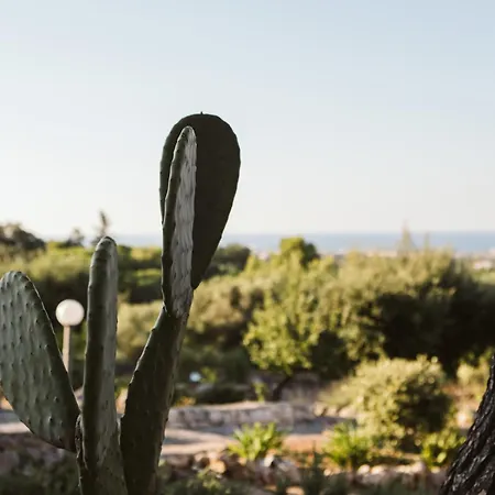 Bed & Breakfast Monte Simeone