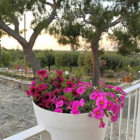 Bed & Breakfast Monte Simeone Polignano a Mare