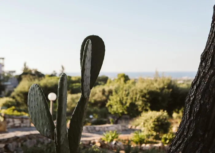 לינה וארוחת בוקר Monte Simeone